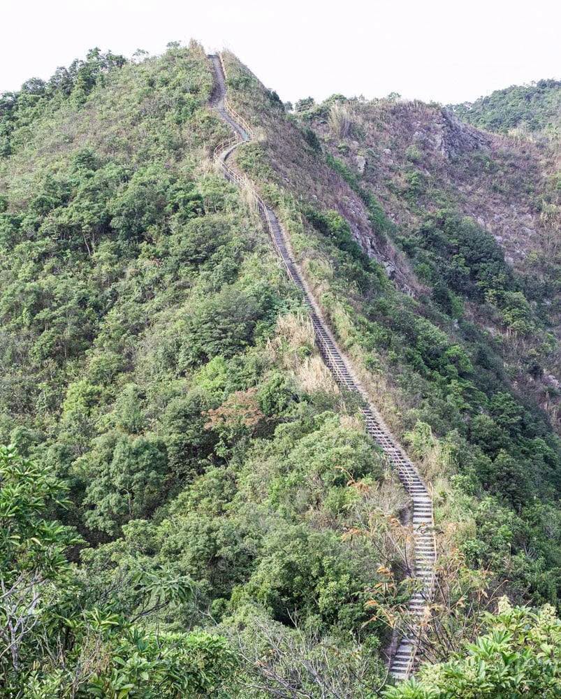 九龍八仙登七山 25km 行山活動