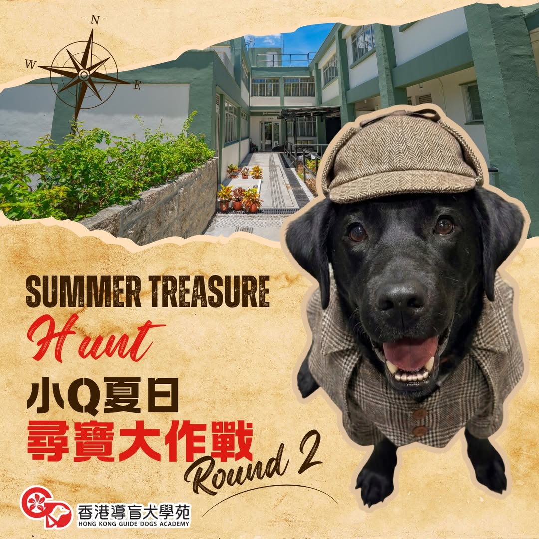 小Q夏日尋寶偵探活動
