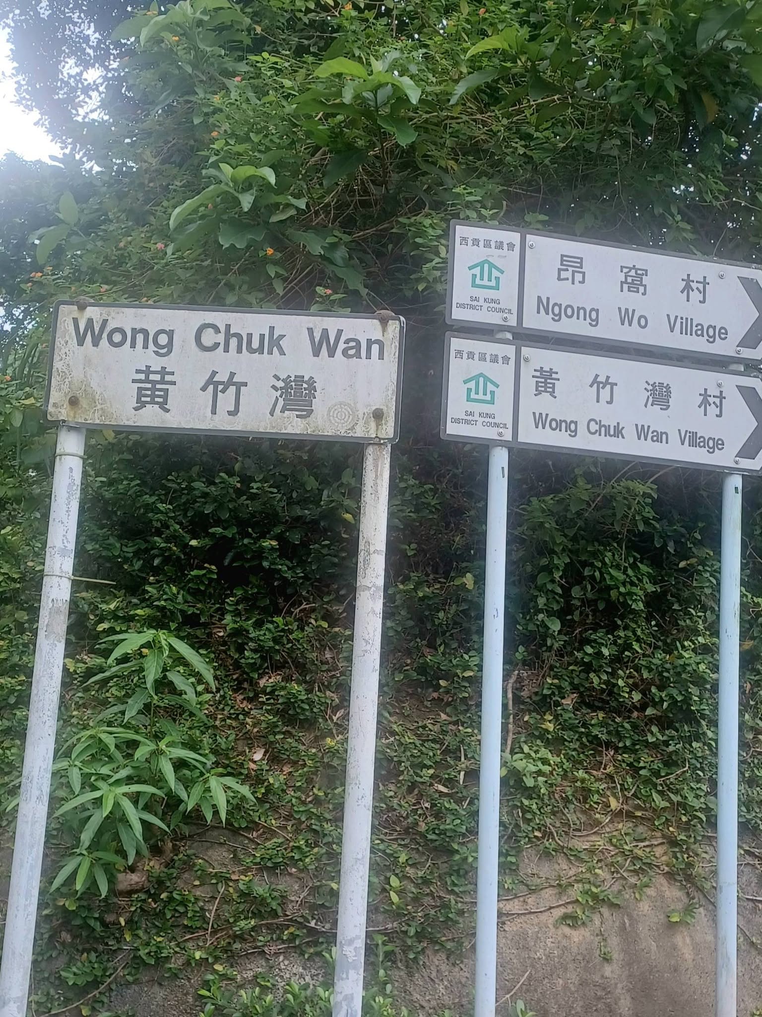 黃竹灣至水浪窩古道行