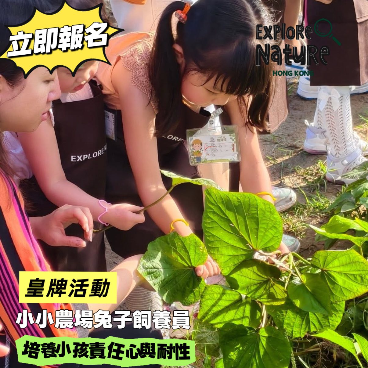 小小農場兔子飼養員活動回顧