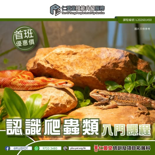 認識爬蟲類 - 入門課程