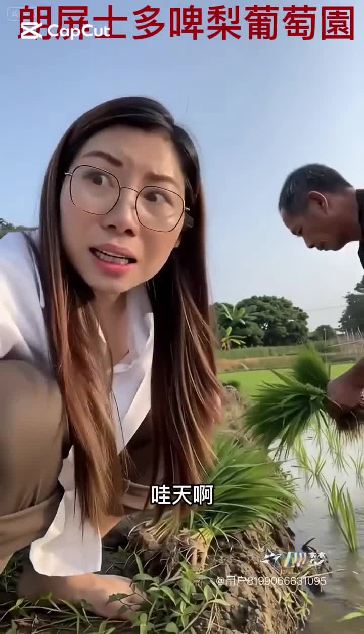 小小造紙匠：生態水稻插秧與造紙親子工作坊