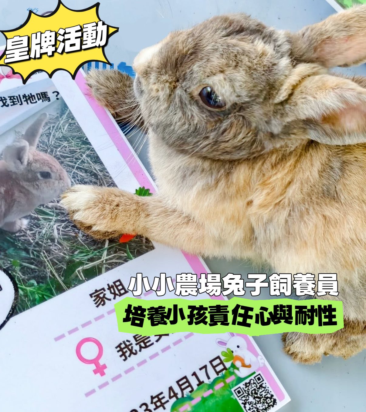 小小農場兔子飼養員活動回顧