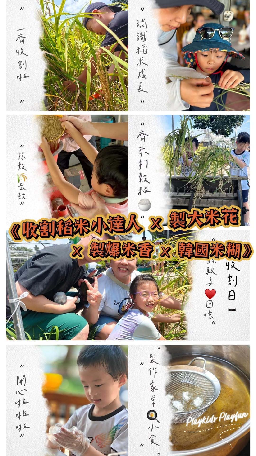 收割稻米小達人親子體驗活動