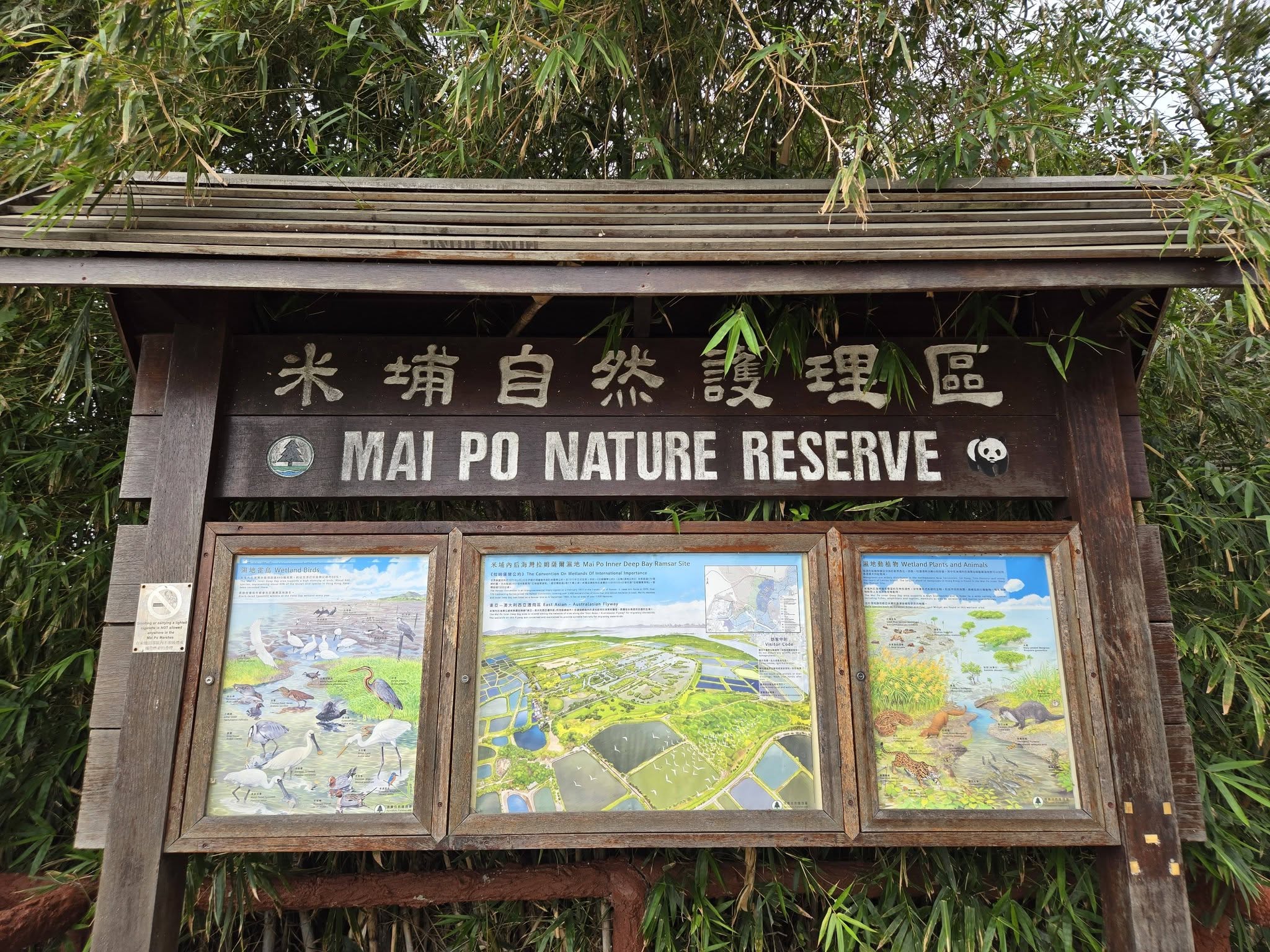 米埔自然探索之旅 🌿 觀鳥屋裡的慢時光