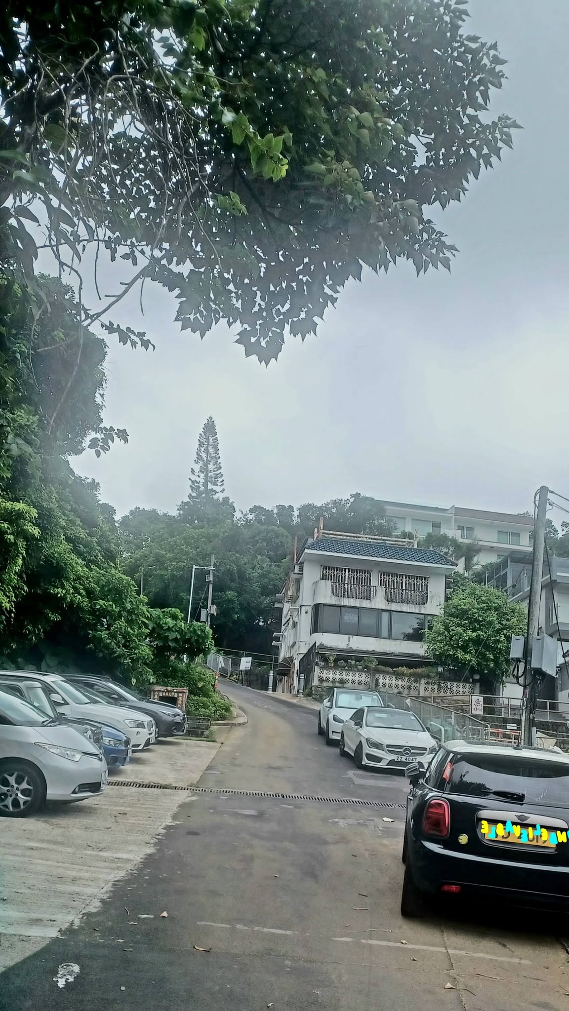 黃竹灣至水浪窩古道行
