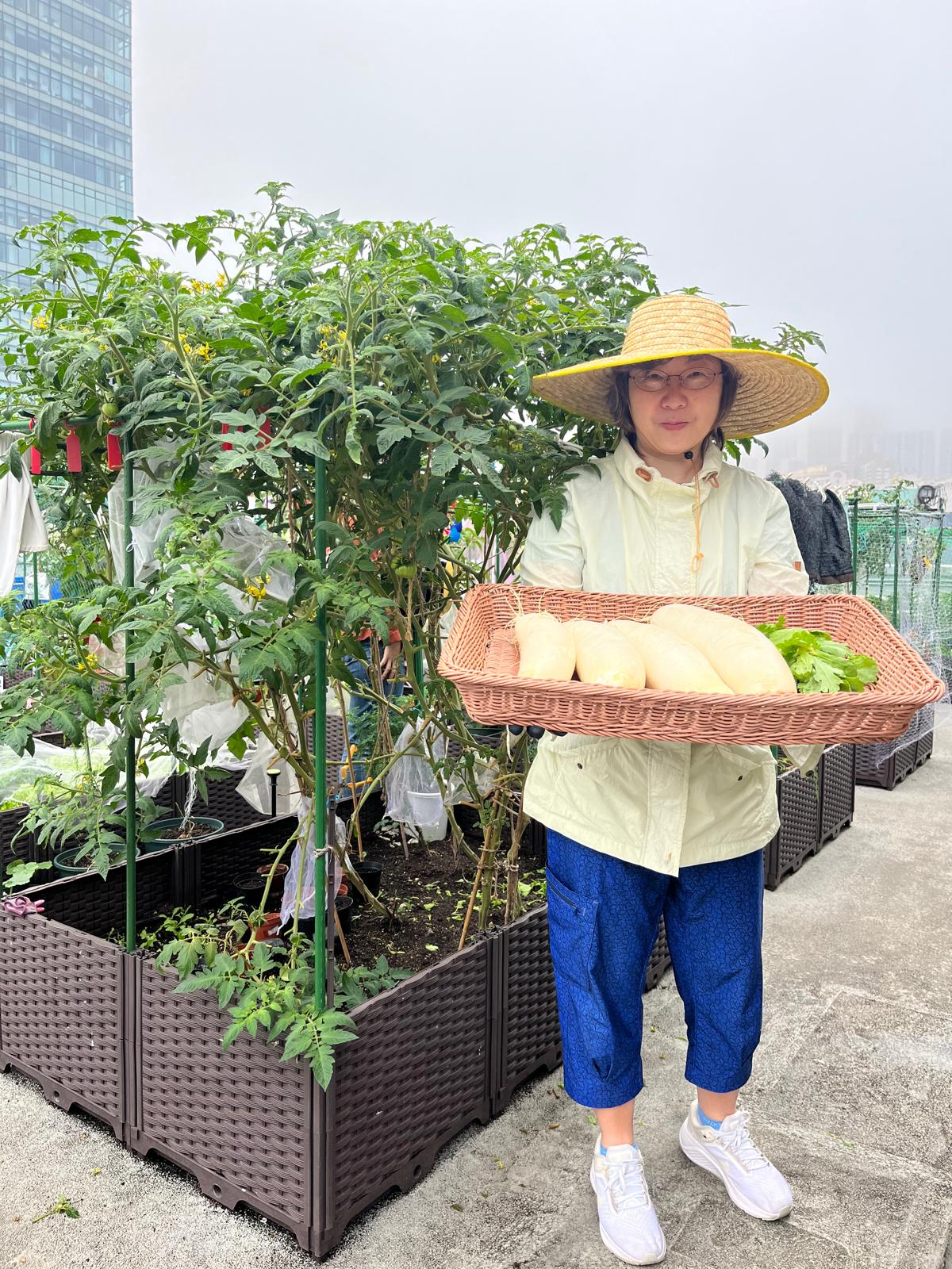 觀塘市區農莊招租