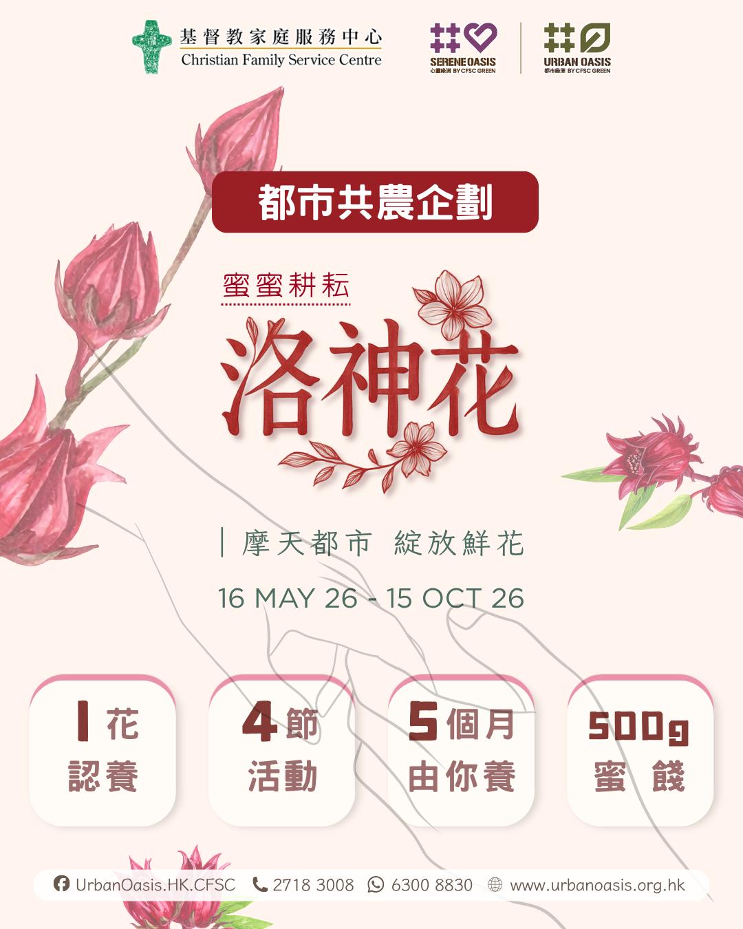 都市洛神花共農企劃