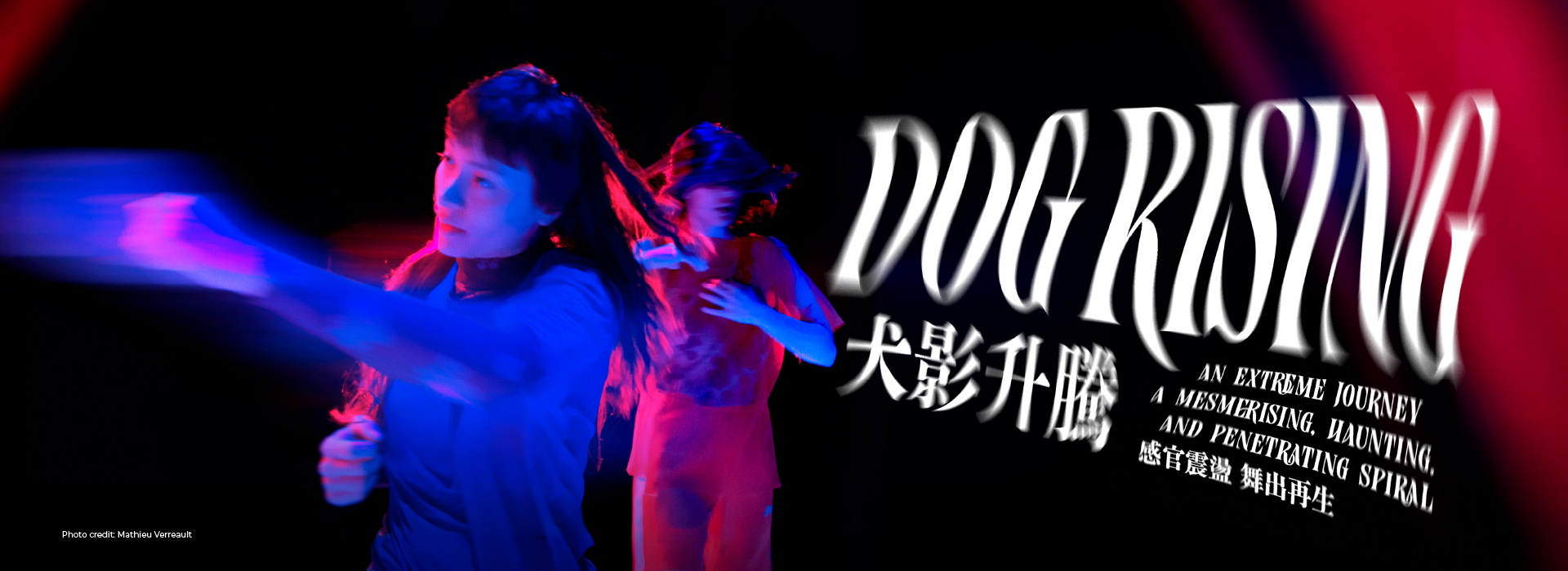 犬影升騰【法國五月藝術節2026】
