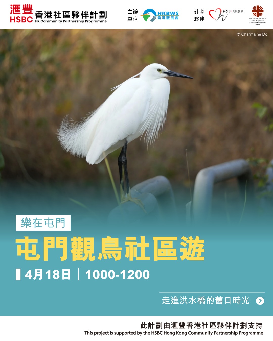 屯門觀鳥社區遊第四團:花油堂
