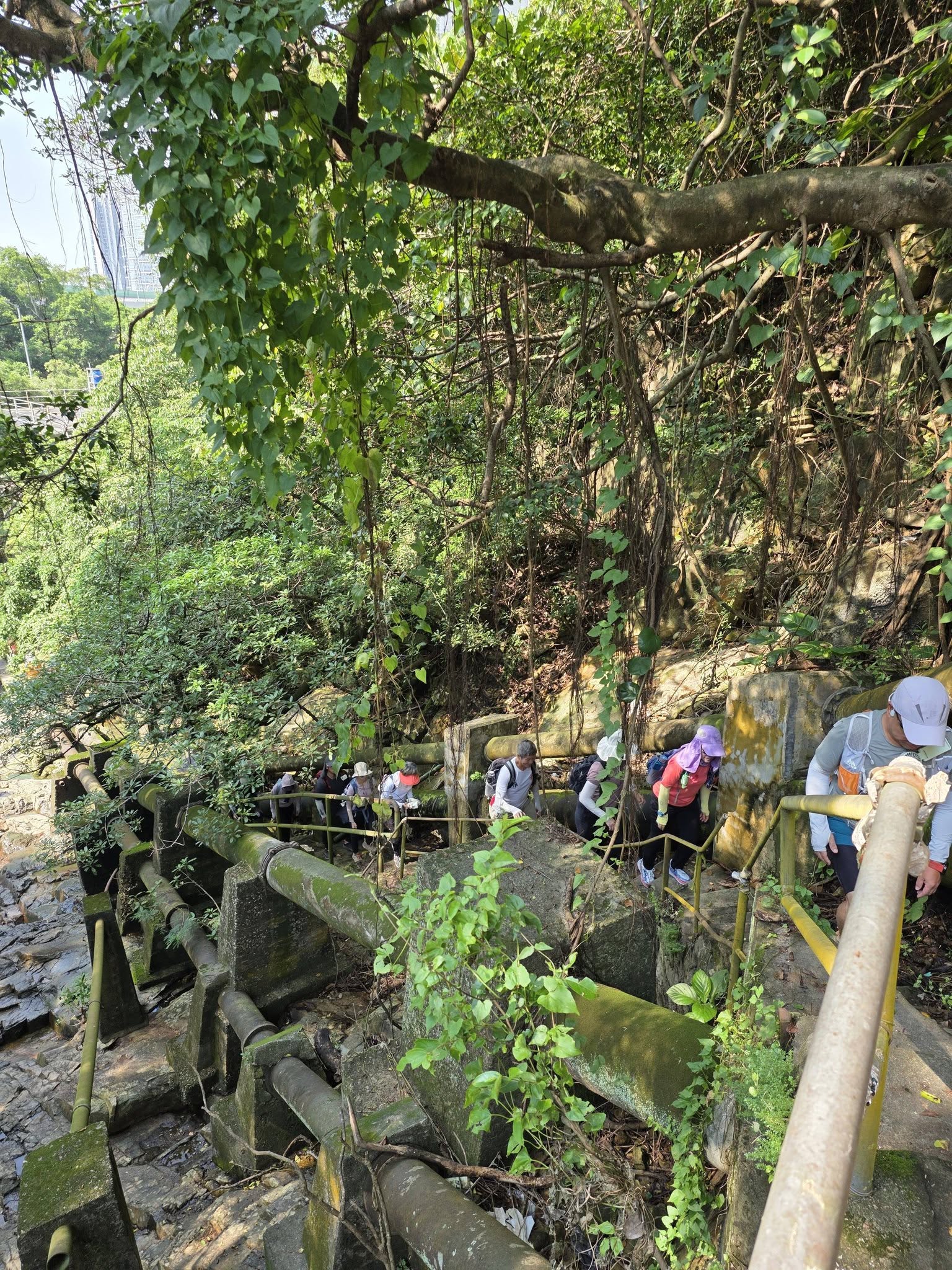布力徑行山之旅
