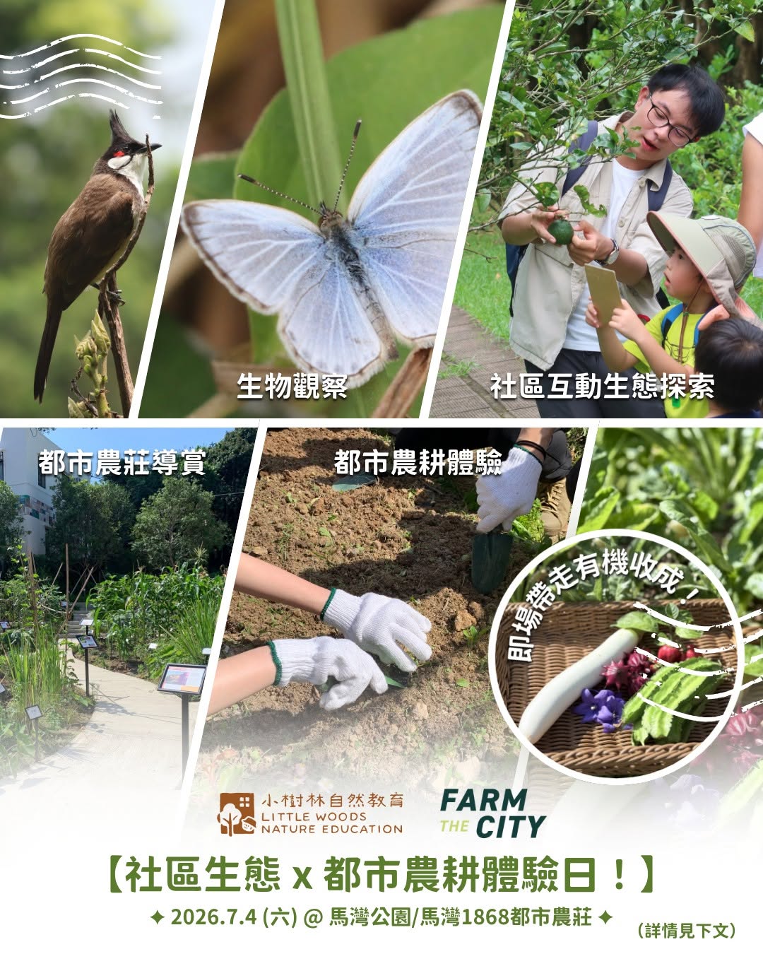 馬灣社區自然生態導賞及都市農耕教育體驗