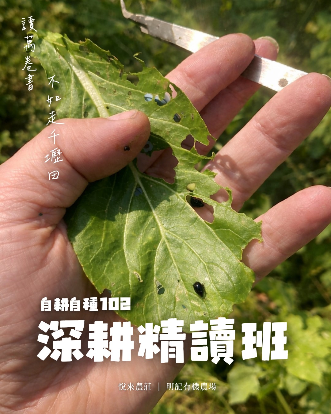 SEED《自耕自種102 - 深耕精讀班》