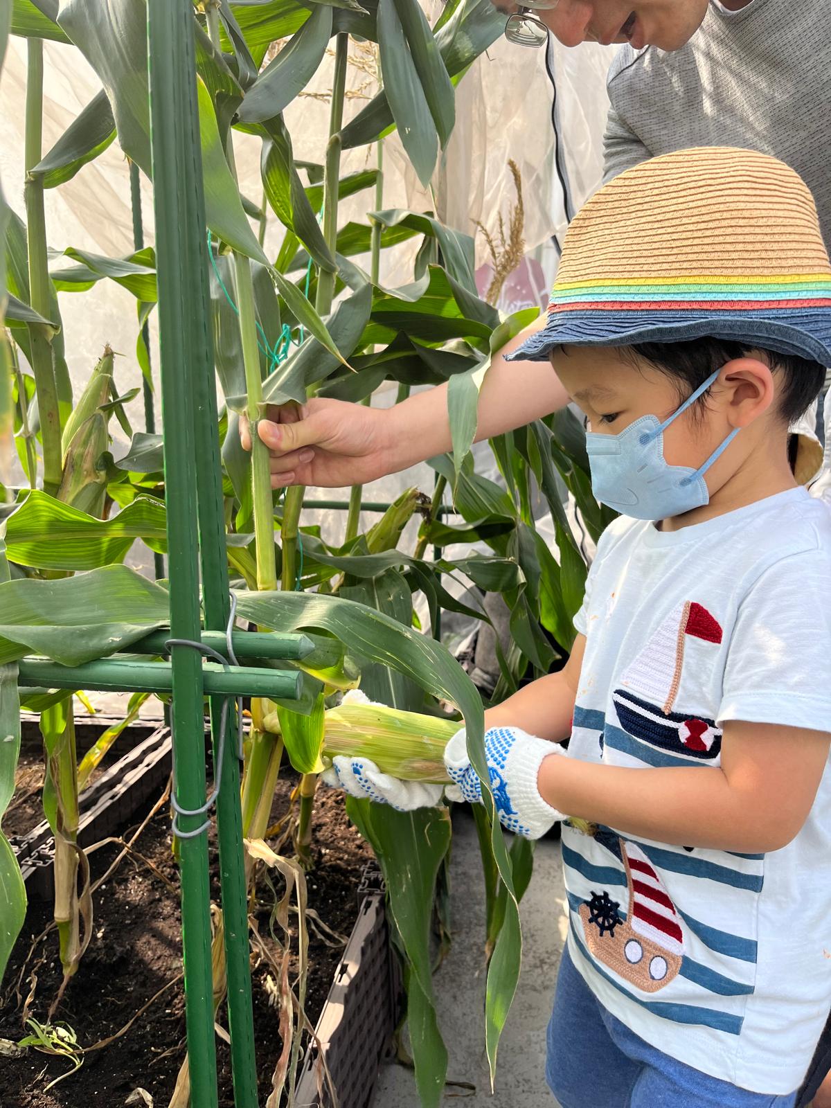 觀塘市區農莊招租