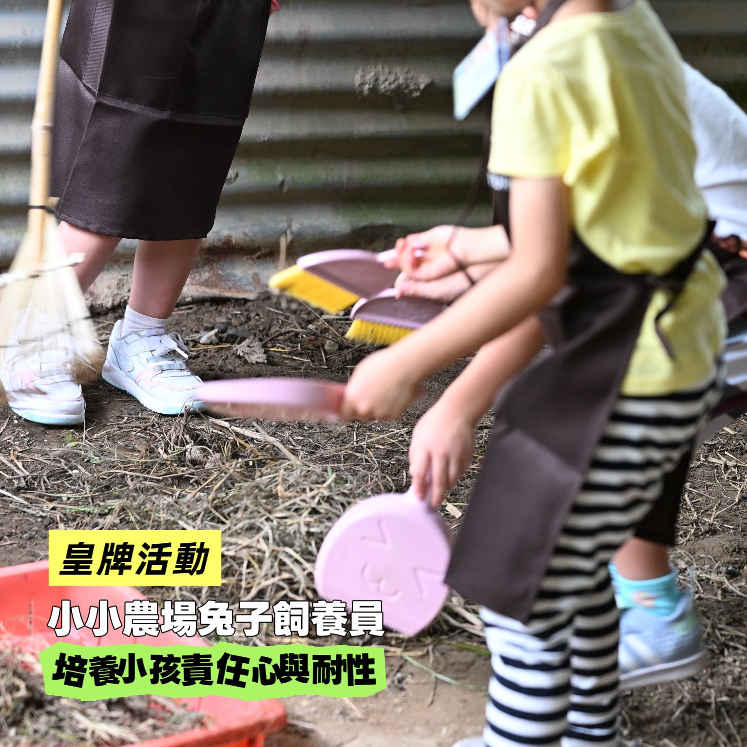 小小農場兔子飼養員活動回顧