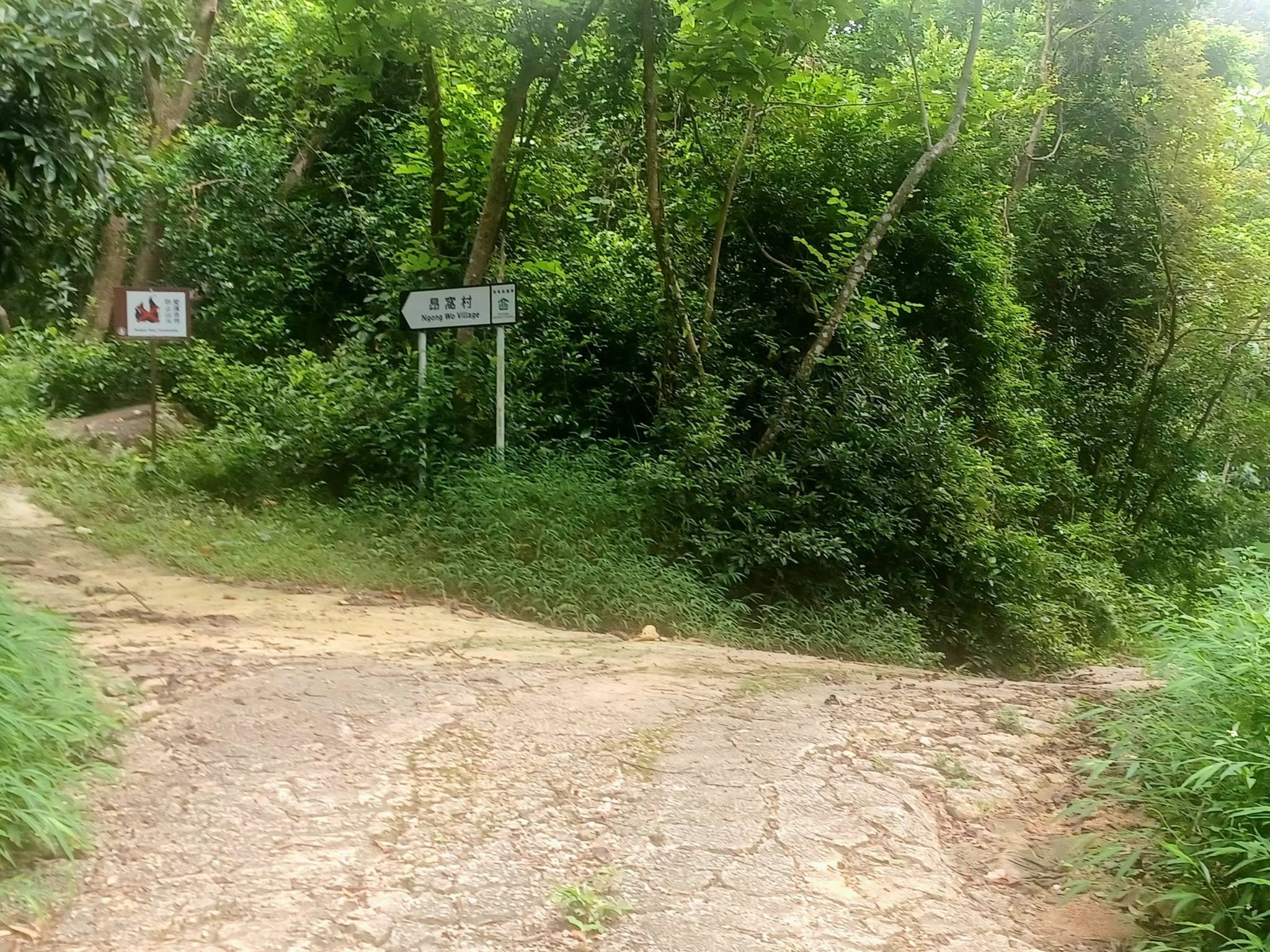 黃竹灣至水浪窩古道行