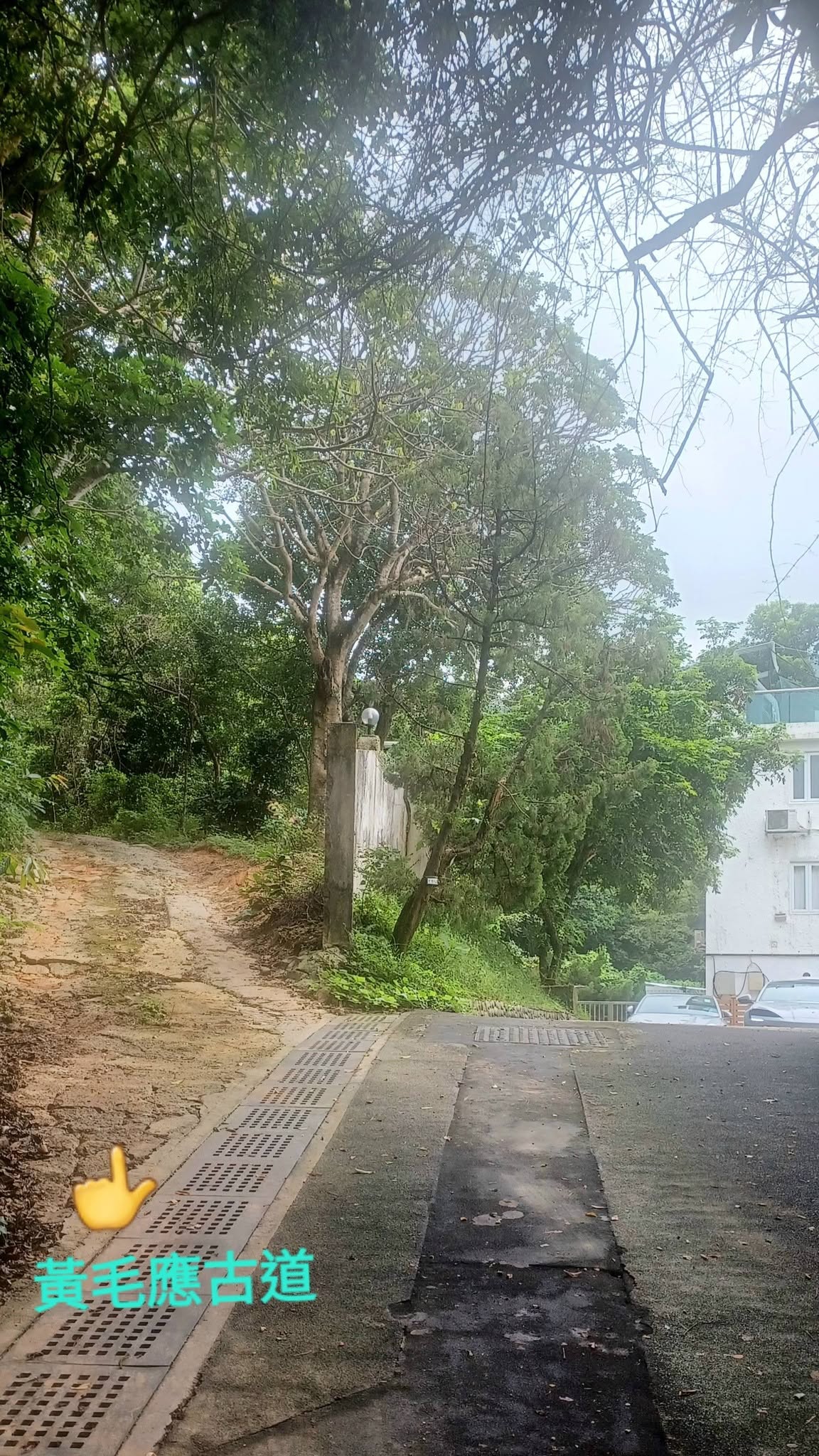 黃竹灣至水浪窩古道行