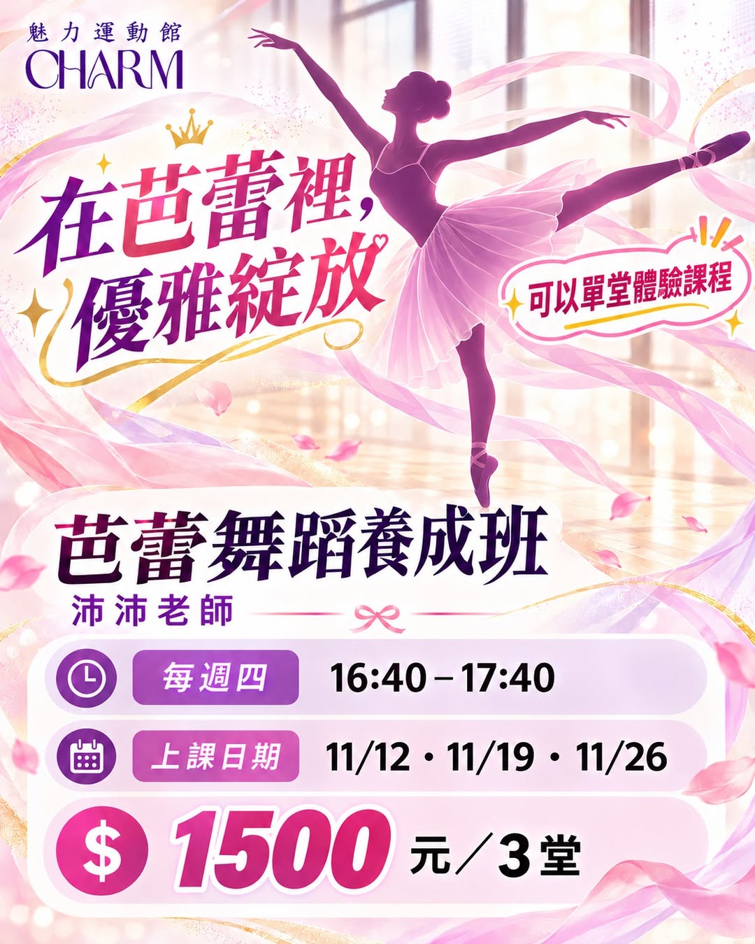11月芭蕾舞蹈養成班