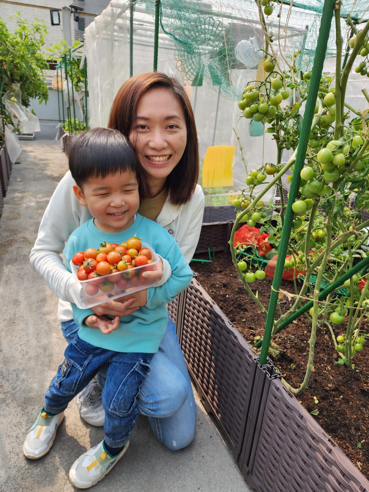 觀塘市區農莊招租