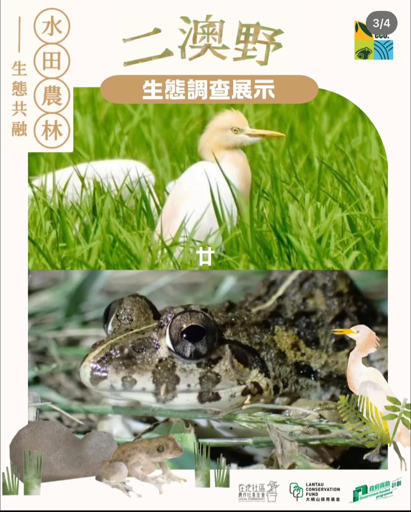 二澳野：水、田、農、林——生態共融展覽