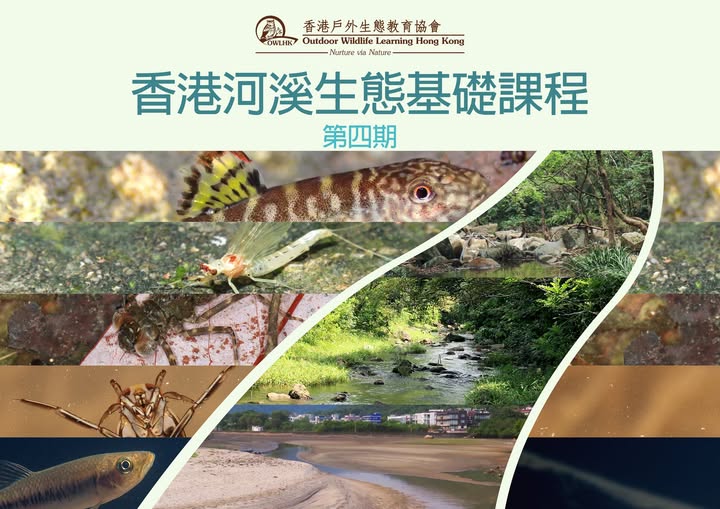 OWLHK香港河溪生態基礎課程 (第四期)
