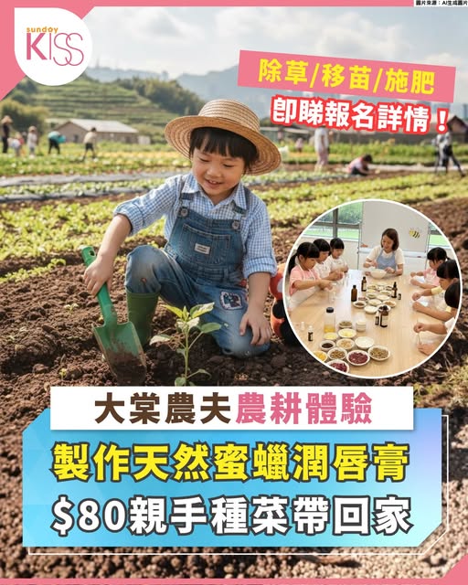 大棠冬日農耕體驗