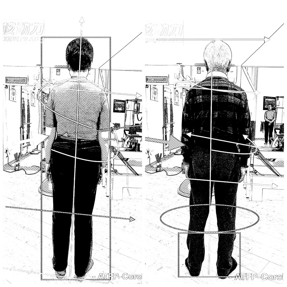 Certificate in Professional Survey for Posture Correction Instructor