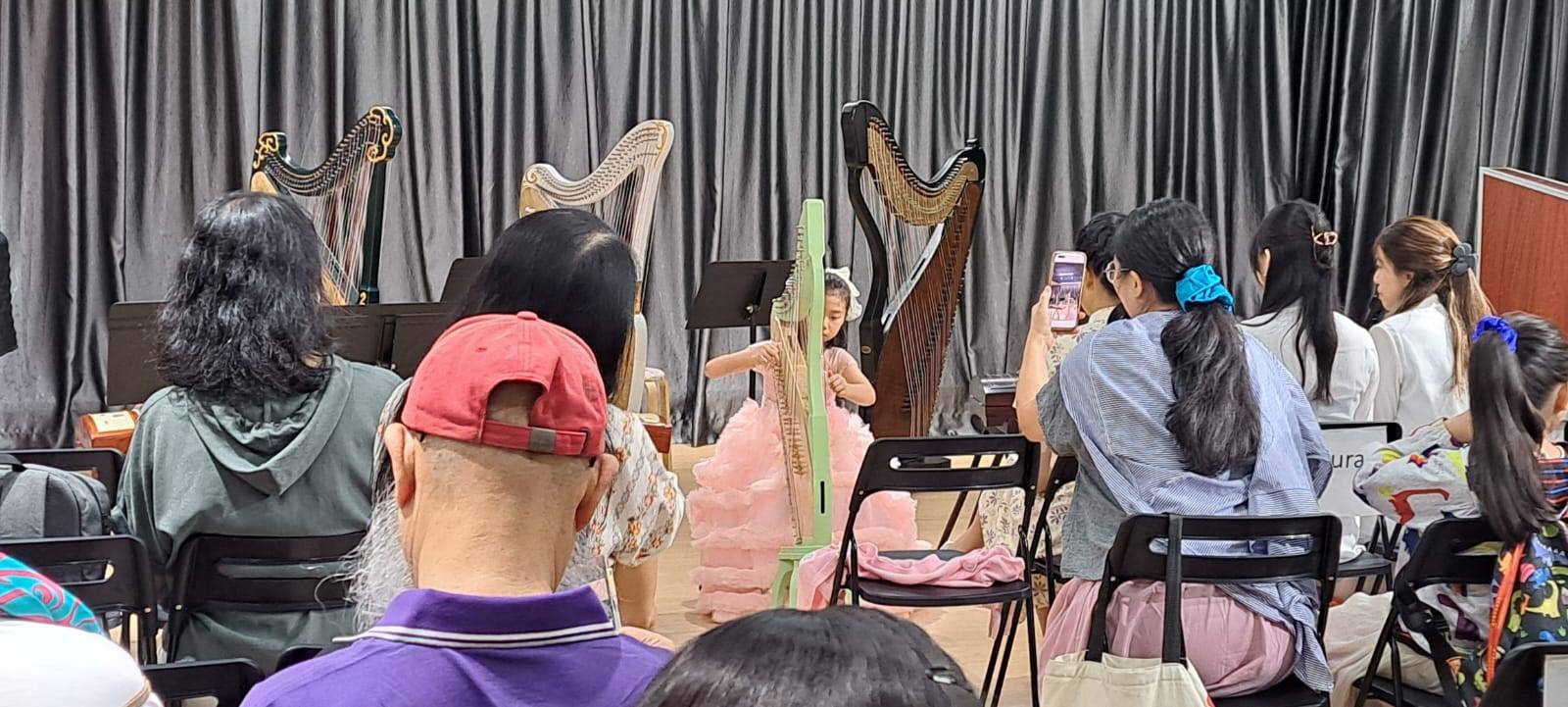暑期東方豎琴箜篌體驗課程
