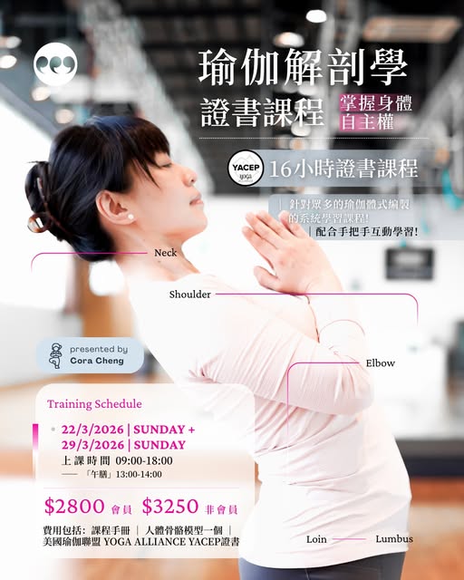 瑜伽肌動解剖學16小時證書課程