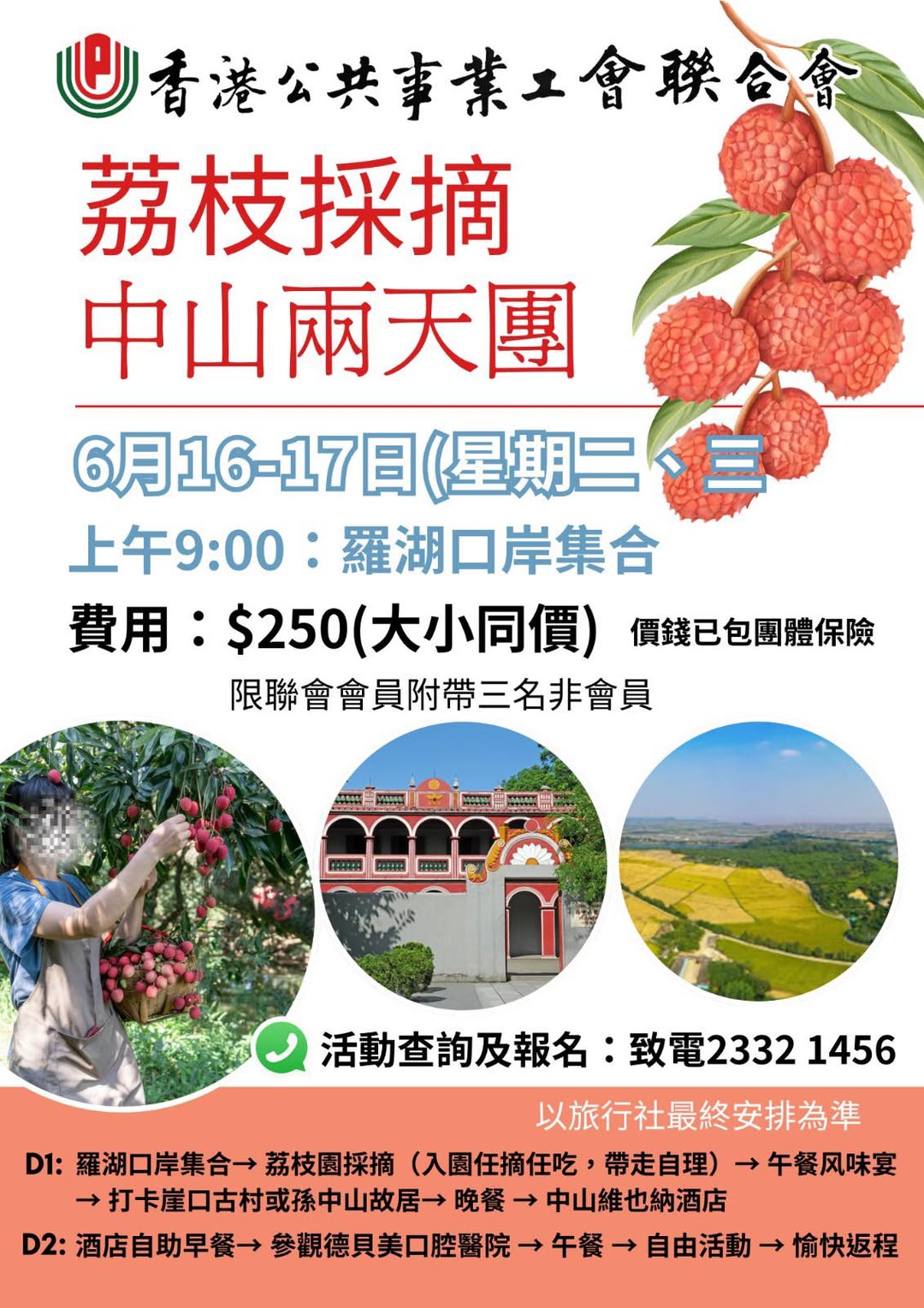 荔枝豐收季・中山两天摘果團