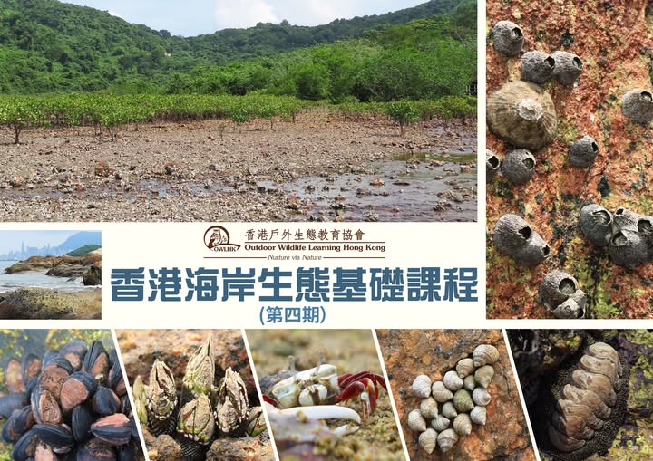 OWLHK香港海岸生態基礎課程 (第四期)